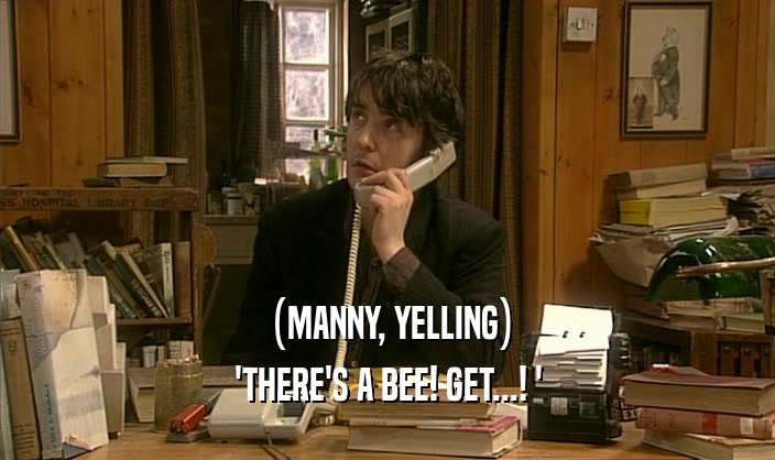 (MANNY, YELLING) 'THERE'S A BEE! GET...! ' 