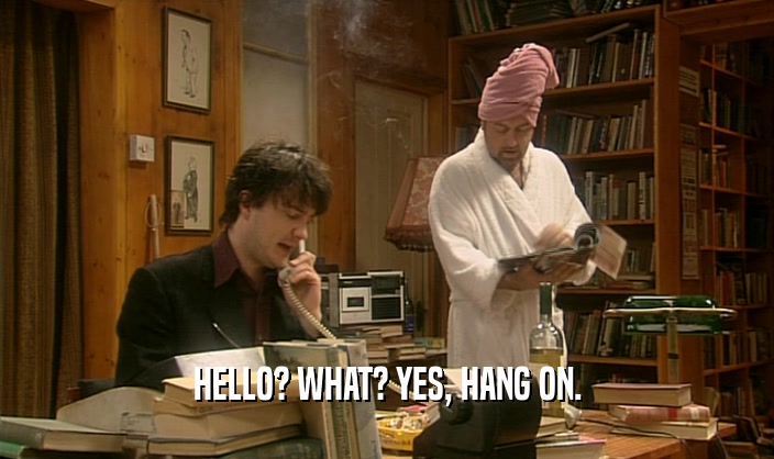 HELLO? WHAT? YES, HANG ON.  