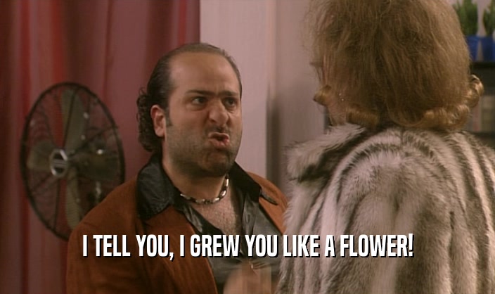 I TELL YOU, I GREW YOU LIKE A FLOWER!
  