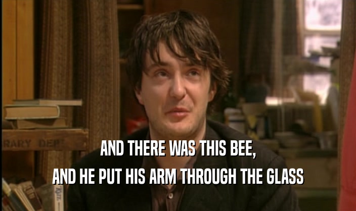 AND THERE WAS THIS BEE,
 AND HE PUT HIS ARM THROUGH THE GLASS
 
