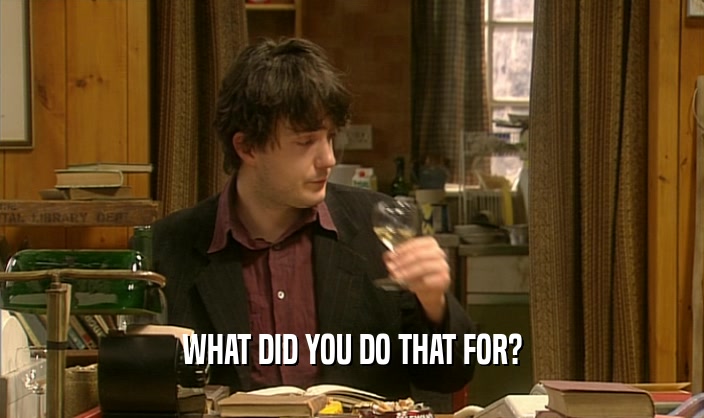 WHAT DID YOU DO THAT FOR?  