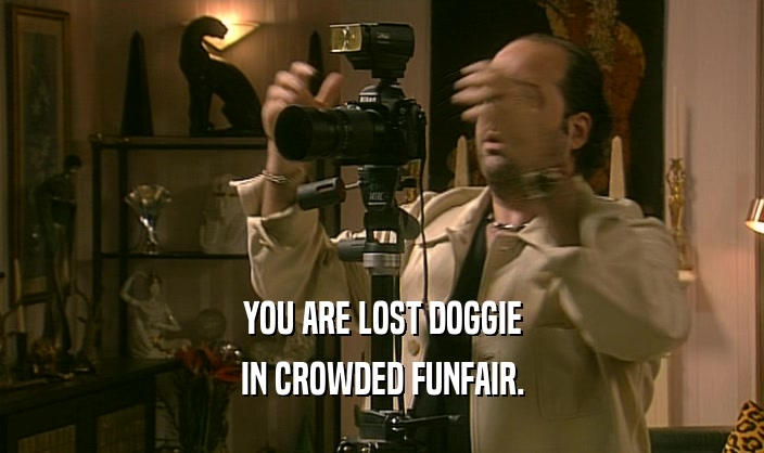 YOU ARE LOST DOGGIE
 IN CROWDED FUNFAIR.
 