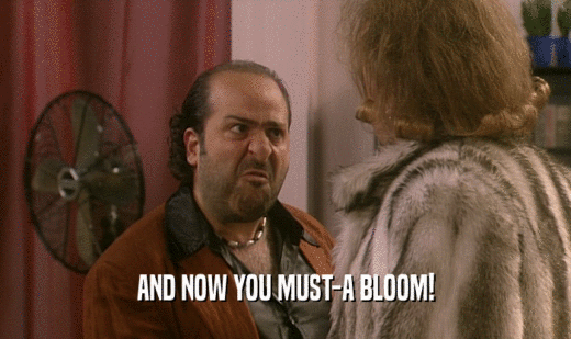 AND NOW YOU MUST-A BLOOM!
  