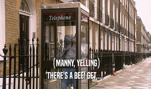 (MANNY, YELLING) 'THERE'S A BEE! GET...! ' 