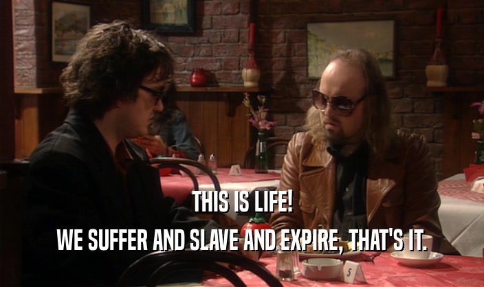 THIS IS LIFE! WE SUFFER AND SLAVE AND EXPIRE, THAT'S IT. 