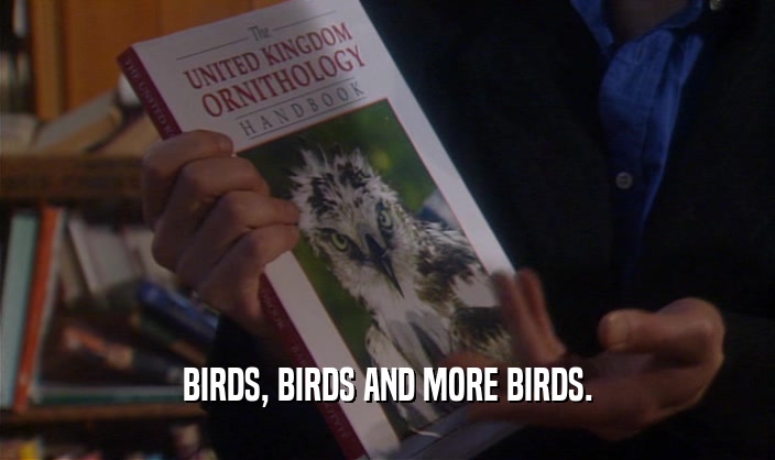 BIRDS, BIRDS AND MORE BIRDS.  