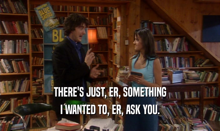 THERE'S JUST, ER, SOMETHING I WANTED TO, ER, ASK YOU. 