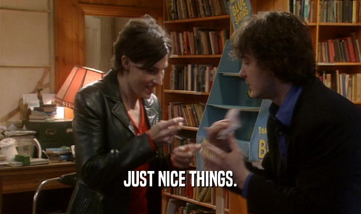JUST NICE THINGS.  