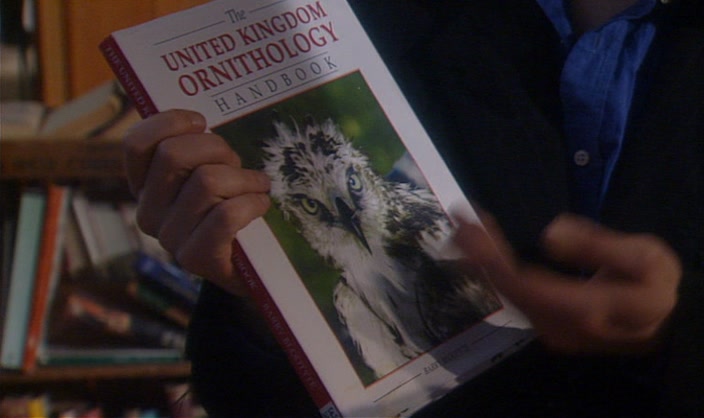 - NO. - WELL, DON'T. IT'S JUST BIRDS. 