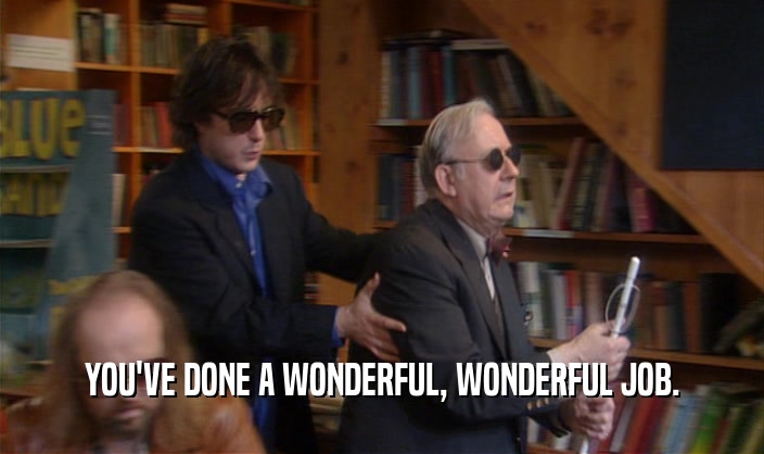 YOU'VE DONE A WONDERFUL, WONDERFUL JOB.  