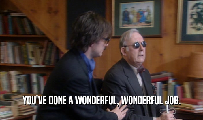 YOU'VE DONE A WONDERFUL, WONDERFUL JOB.  