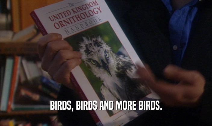 BIRDS, BIRDS AND MORE BIRDS.  
