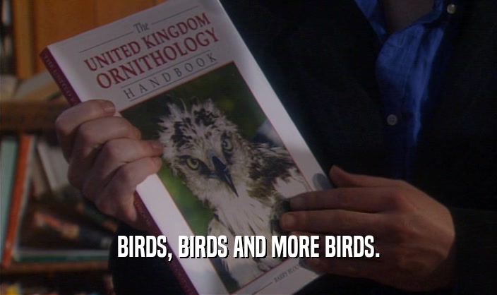 BIRDS, BIRDS AND MORE BIRDS.  