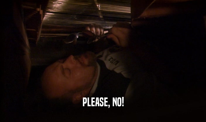 PLEASE, NO!  