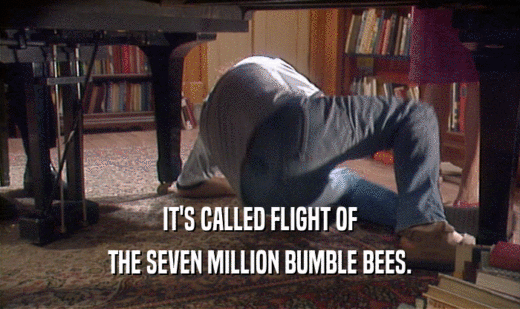 IT'S CALLED FLIGHT OF THE SEVEN MILLION BUMBLE BEES. 