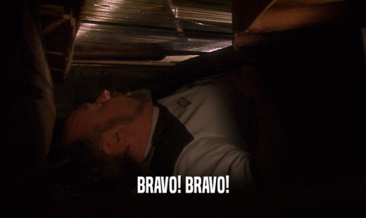 BRAVO! BRAVO!  