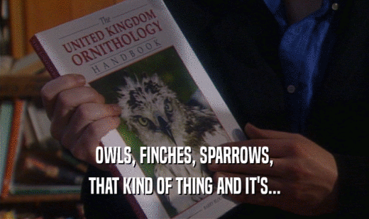 OWLS, FINCHES, SPARROWS,
 THAT KIND OF THING AND IT'S...
 
