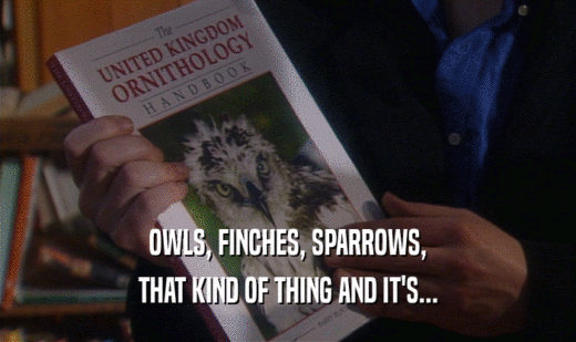 OWLS, FINCHES, SPARROWS, THAT KIND OF THING AND IT'S... 