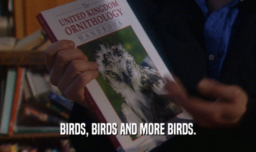 BIRDS, BIRDS AND MORE BIRDS.  
