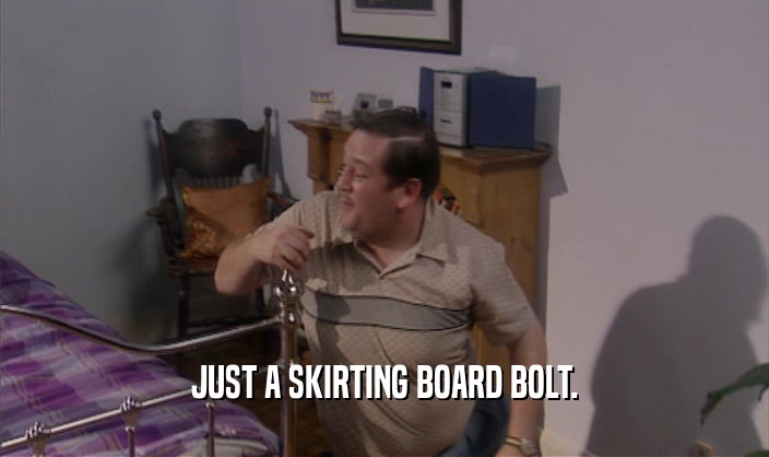 JUST A SKIRTING BOARD BOLT.  