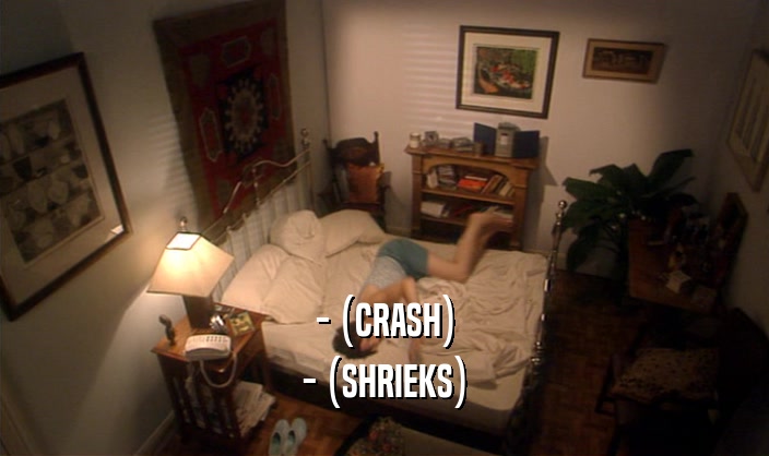 - (CRASH) - (SHRIEKS) 