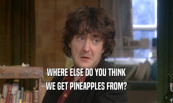 WHERE ELSE DO YOU THINK
 WE GET PINEAPPLES FROM?
 