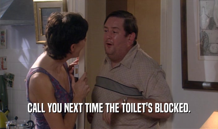 CALL YOU NEXT TIME THE TOILET'S BLOCKED.  