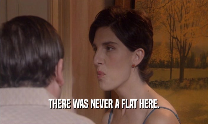 THERE WAS NEVER A FLAT HERE.  