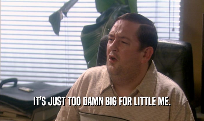 IT'S JUST TOO DAMN BIG FOR LITTLE ME.  