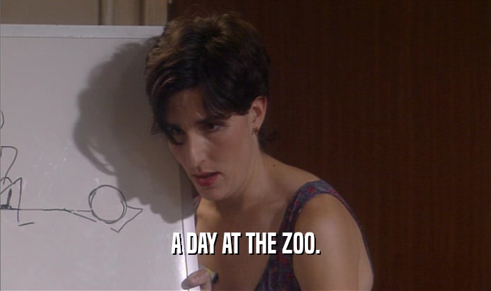 A DAY AT THE ZOO.
  