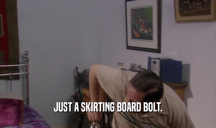 JUST A SKIRTING BOARD BOLT.  