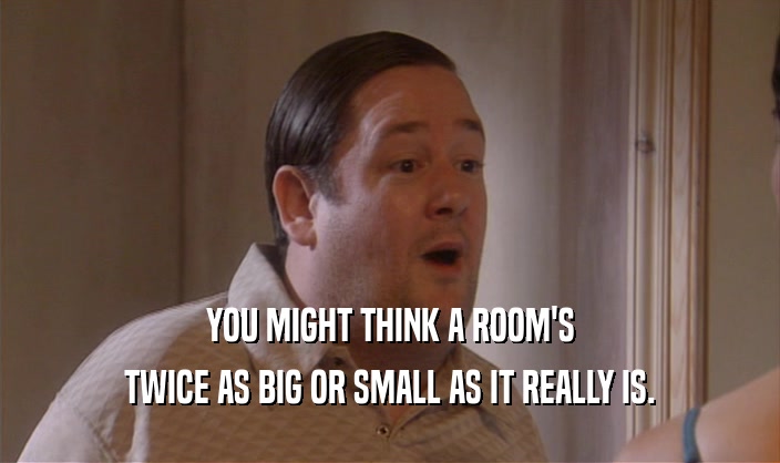 YOU MIGHT THINK A ROOM'S TWICE AS BIG OR SMALL AS IT REALLY IS. 