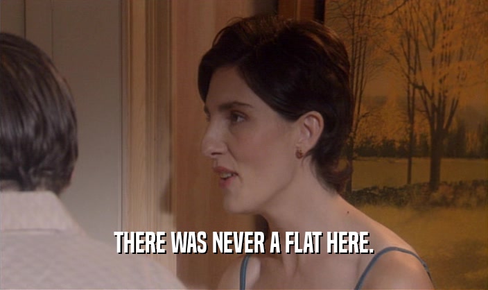 THERE WAS NEVER A FLAT HERE.  