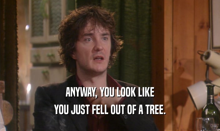 ANYWAY, YOU LOOK LIKE YOU JUST FELL OUT OF A TREE. 