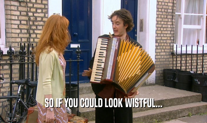 SO IF YOU COULD LOOK WISTFUL...  