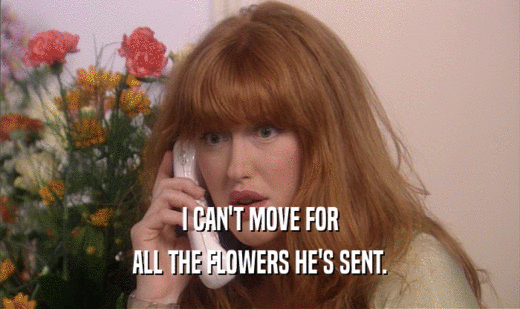 I CAN'T MOVE FOR ALL THE FLOWERS HE'S SENT. 