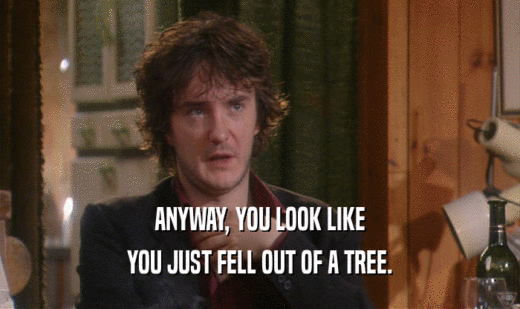 ANYWAY, YOU LOOK LIKE YOU JUST FELL OUT OF A TREE. 