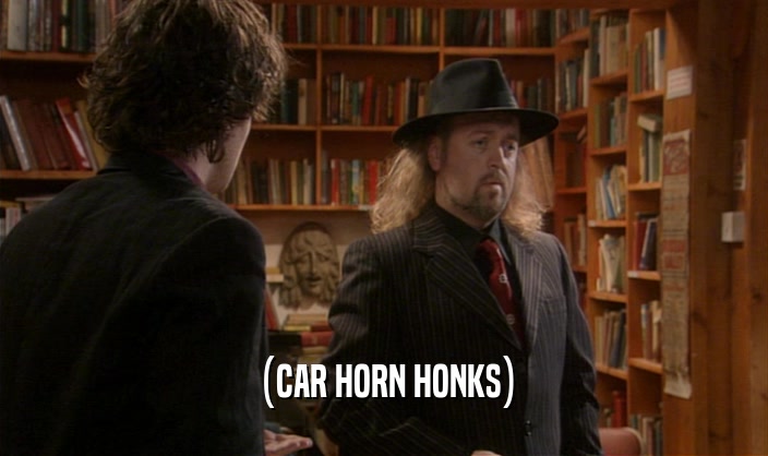 (CAR HORN HONKS)  