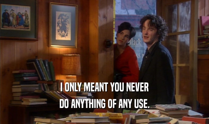 I ONLY MEANT YOU NEVER DO ANYTHING OF ANY USE. 