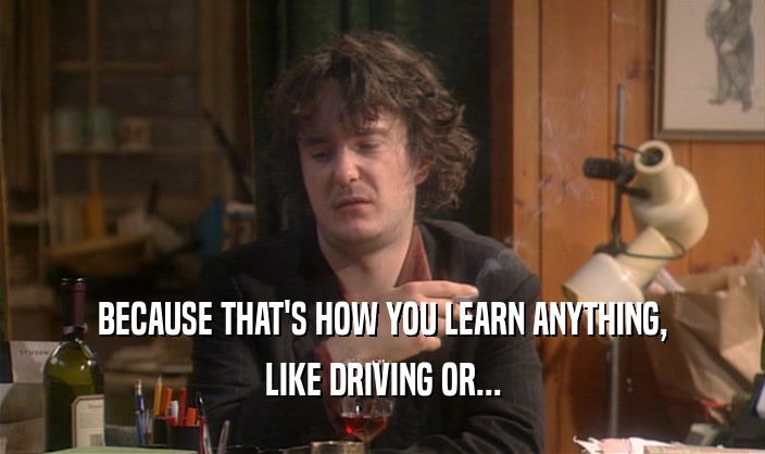 BECAUSE THAT'S HOW YOU LEARN ANYTHING, LIKE DRIVING OR... 