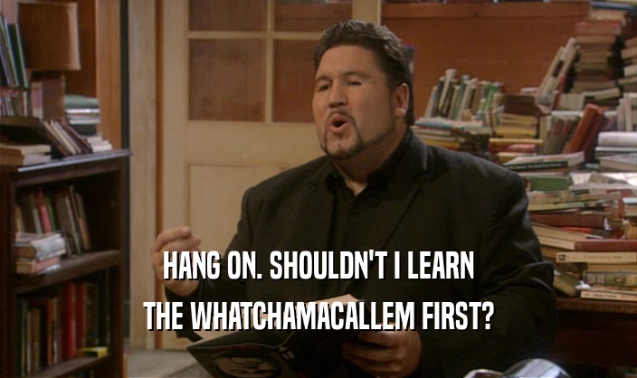 HANG ON. SHOULDN'T I LEARN THE WHATCHAMACALLEM FIRST? 