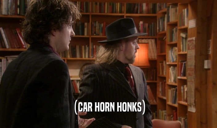 (CAR HORN HONKS)  