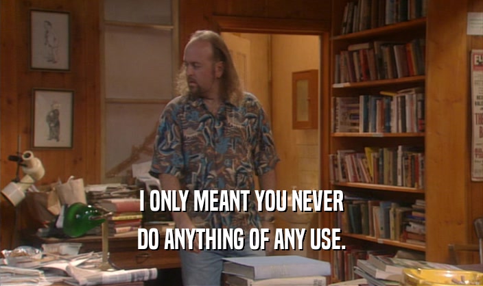 I ONLY MEANT YOU NEVER DO ANYTHING OF ANY USE. 