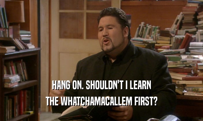HANG ON. SHOULDN'T I LEARN THE WHATCHAMACALLEM FIRST? 