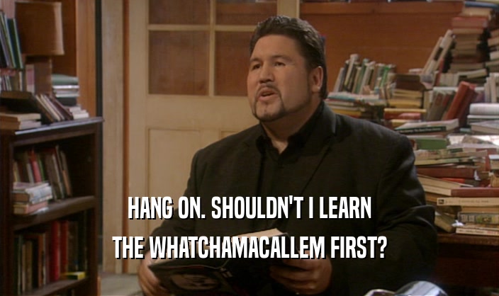 HANG ON. SHOULDN'T I LEARN THE WHATCHAMACALLEM FIRST? 