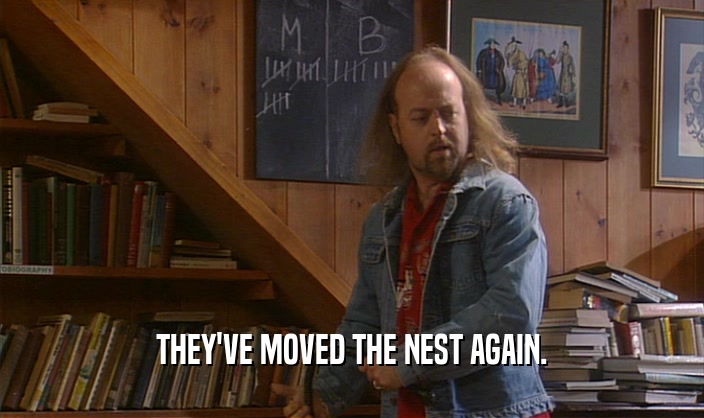 THEY'VE MOVED THE NEST AGAIN.  