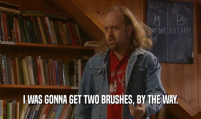 I WAS GONNA GET TWO BRUSHES, BY THE WAY.
  