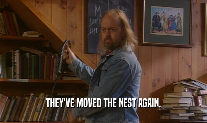 THEY'VE MOVED THE NEST AGAIN.  