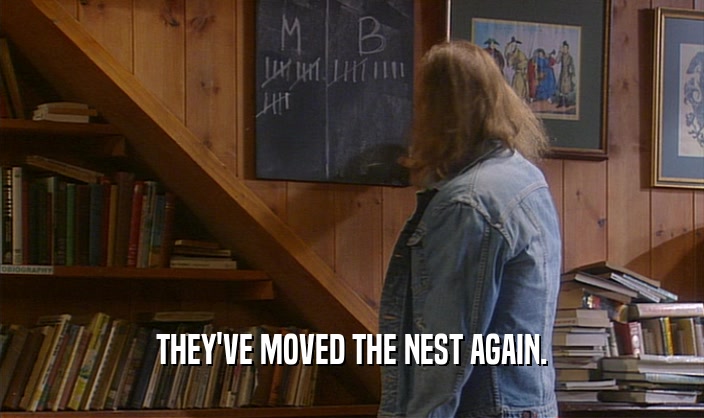 THEY'VE MOVED THE NEST AGAIN.  