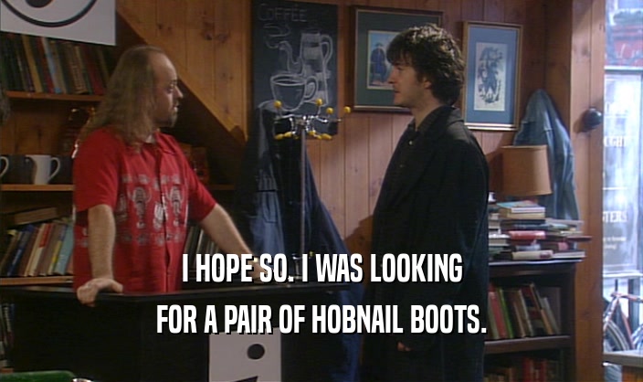 I HOPE SO. I WAS LOOKING FOR A PAIR OF HOBNAIL BOOTS. 